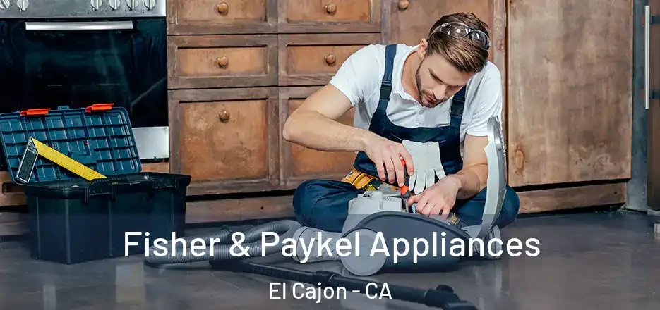  Fisher & Paykel Appliances El Cajon - CA