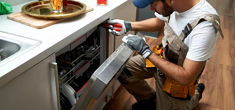 Same Day Dishwasher Not Draining Repair in El Cajon